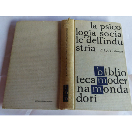 La psicologia sociale dell'industria