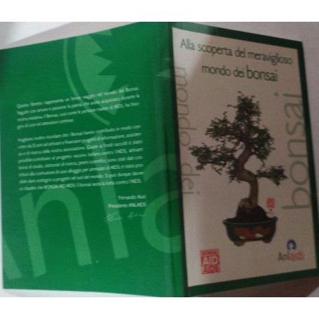 Alla scoperta del meraviglioso mondo dei bonsai