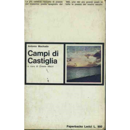 Campi di Castiglia