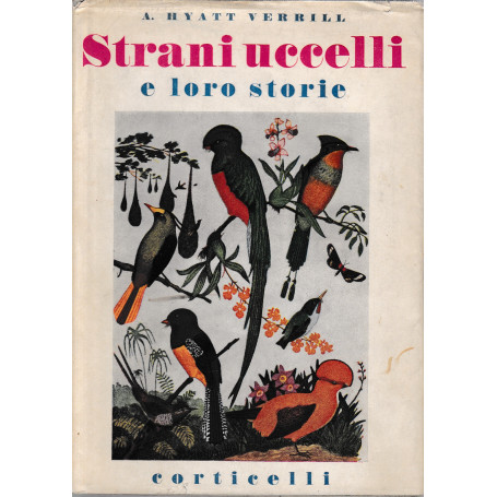 Strani uccelli e loro storie