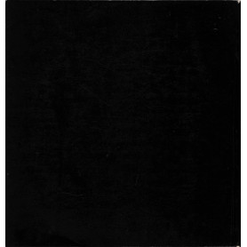 Collezioni della Galleria d'arte moderna di Palazzo Pitti  Ottocento parte primaLibrisaggi