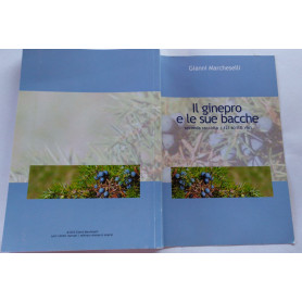Librisaggi