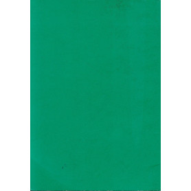 Librisaggi