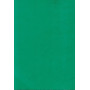 Aggiornamenti Clinico Terapeutici Farmitalia. Gli Esantemi Infettivi