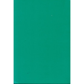 Aggiornamenti Clinico Terapeutici. La malattia reumaticaLibrisaggi