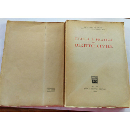 Teoria e pratica del diritto civile