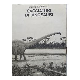 Librisaggi