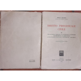 Manuale di diritto processuale civile