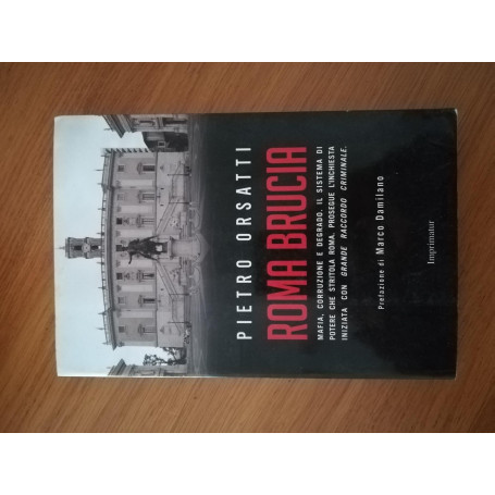 Roma brucia : mafia  corruzione e degrado : il sistema di potere che stritola Roma
