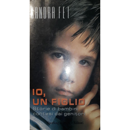 Io  un figlio: storie di bambini contesi dai genitori