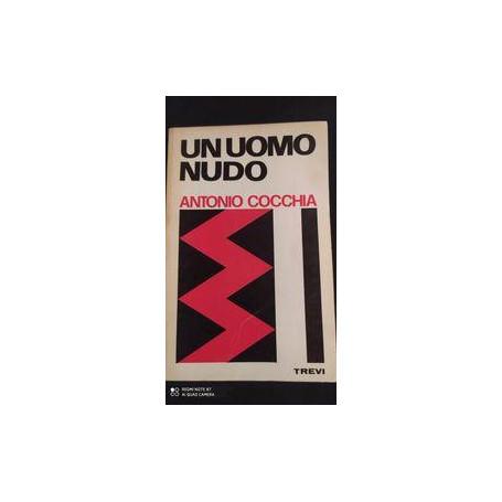 Un uomo nudo