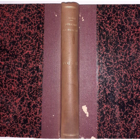 La dottrina delle persone giuridiche o corpi morali Vol III