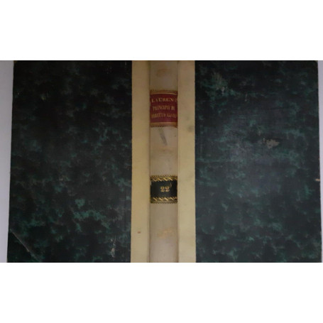 Principi di diritto civile  Volume XXII