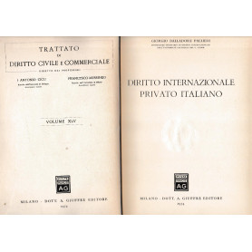 Diritto internazionale privato italiano