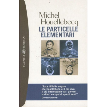 Le particelle elementari