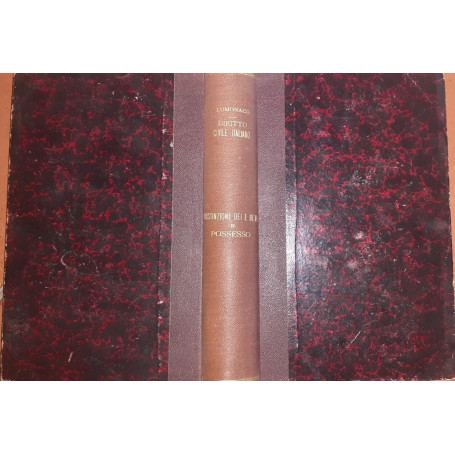Della distinzione dei beni e del possesso  Volume Unico