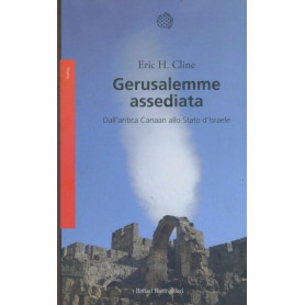 Gerusalemme assediata : dall'antica Canaan allo Stato d'IsraeleLibrisaggi