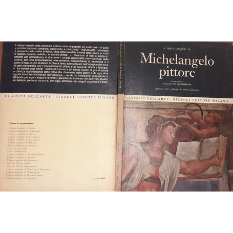 L'opera completa di Michelangelo pittore
