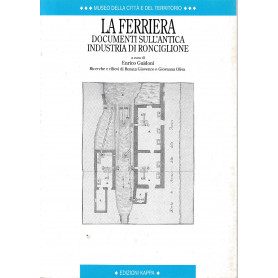 La ferriera : documenti sull'antica industria di Ronciglione