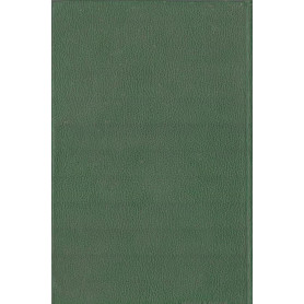 Librisaggi