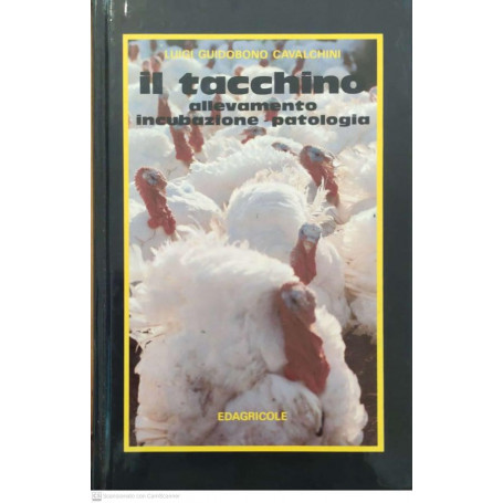 Il tacchino. Allevamento  incubazione  patologia