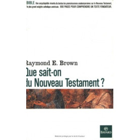 Que sait-on du Nouveau Testament ?Librisaggi