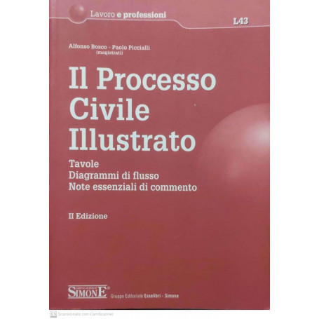 Il processo civile illustrato : tavole  diagrammi di flusso  note essenziali di commento