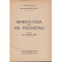 Semeiologia delle vie piramidali