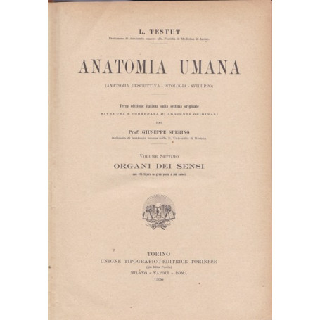 Anatomia umana. VII. Organi dei sensi.