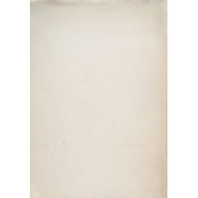 Librisaggi