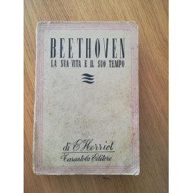 Beethoven la sua vita e il suo tempo