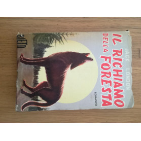 Librisaggi