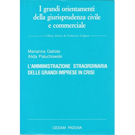 Librisaggi