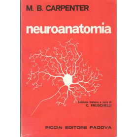 Neuroanatomia