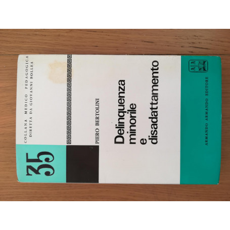 Delinquenza minorile e disadattamento