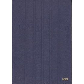 Manuale dei cuscinettiLibrisaggi