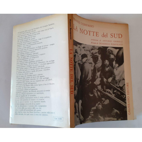 La notte del sud . (Saggio socio-politico sulla poesia del terremoto)