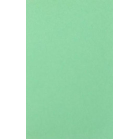 Librisaggi