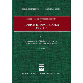 Rassegna di giurisprudenza del Codice di procedura civile. Aggiornamento 1999-2001. Artt. 163-310 (Vol. 2/tomo 1)