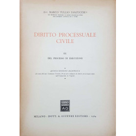 Diritto processuale civile. III