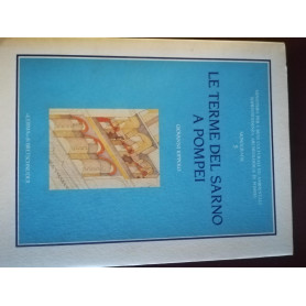 Le terme del Sarno a Pompei. Iter di un'analisi per la conoscenza