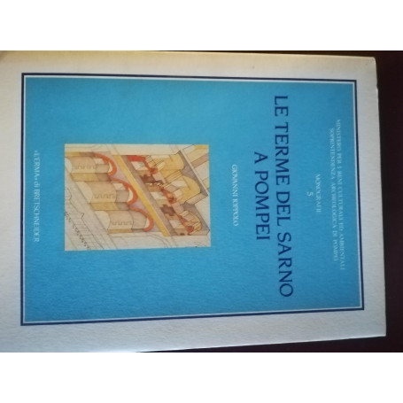 Le terme del Sarno a Pompei. Iter di un'analisi per la conoscenza  il restauro e la protezione sismica del monumento