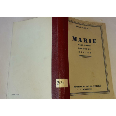 Marie dans notre histoire divine