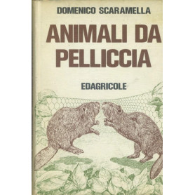 Librisaggi