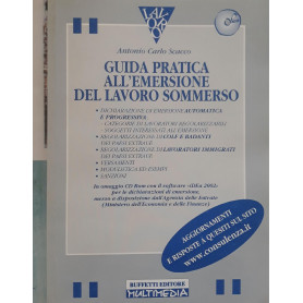 Guida pratica all'emersione del lavoro sommerso