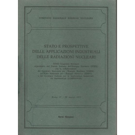 Stato e prospettive delle applicazioni industriali delle radiazioni nucleari