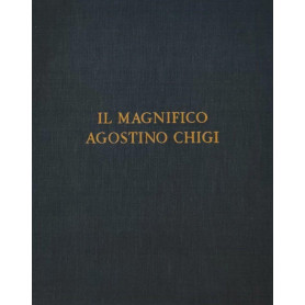 Librisaggi