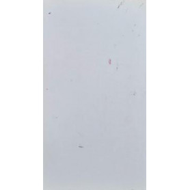 Librisaggi