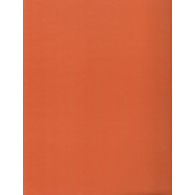 Librisaggi
