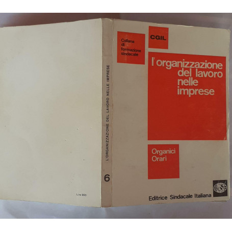 L' organizzazione del lavoro nele imprese V 6